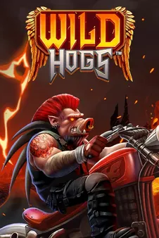 Wild Hogs