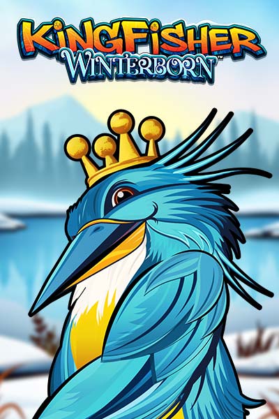 Kingfisher Winterborn