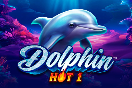 Dolphin Hot 1