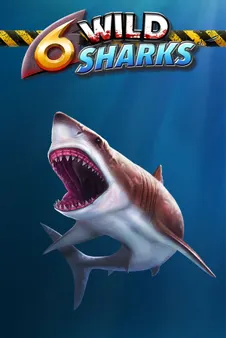6 Wild sharks